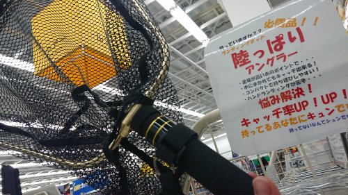 本間釣具店 フィッシャーズ 新潟 富山 石川 福井の釣り情報 通販 レンタル