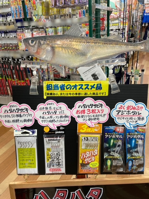 本間釣具店 フィッシャーズ 新潟 富山 石川 福井の釣り情報 通販 レンタル