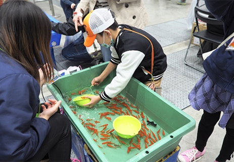 金魚すくい